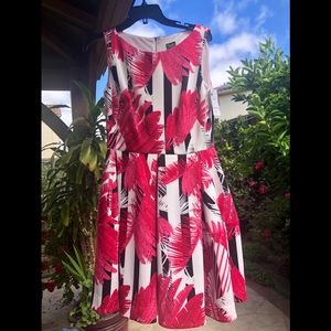 💞 Taylor Ivory/Fuchsia Dress NWT 💞
